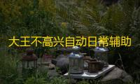 大王不高兴自动日常辅助挂机 装备强化攻略